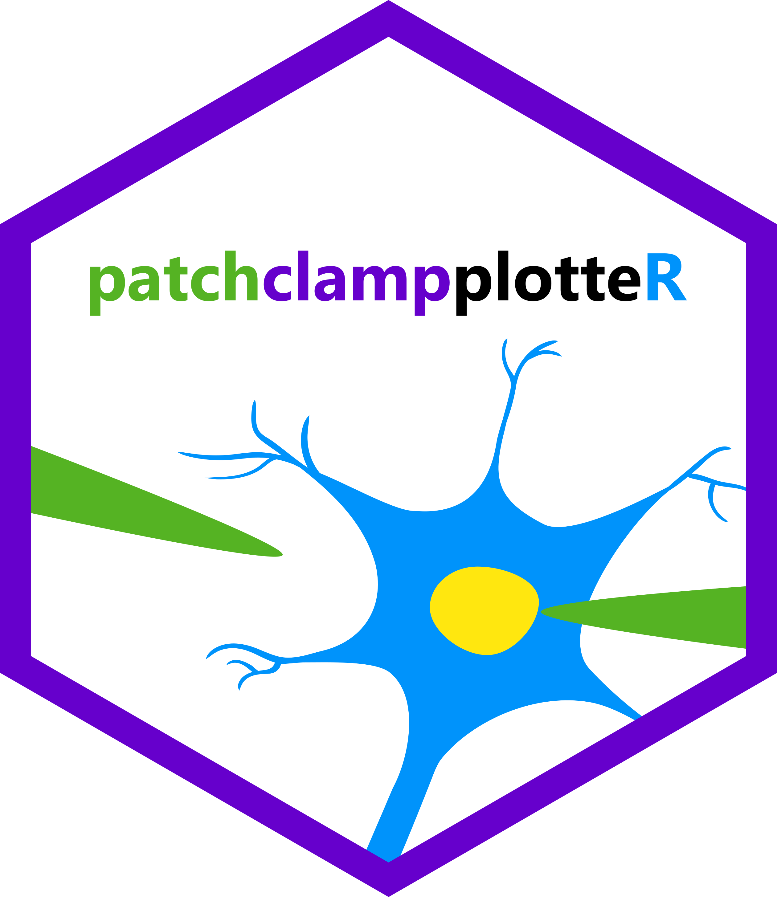 A hexagon with a neuron inside it. There are two probes poking into the neuron and the word patchclampplotteR above it